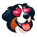 Bernese_love_heart_eyes
