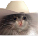 8a_cat_triste Discord emoji