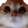 Ragey
