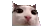 Plinktosis