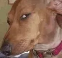 sideeye