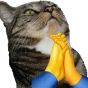 MATTHEWPRAYGE MATTHEWPRAYGE