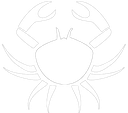 zodiac_cancer Discord Emoji - 𝐃𝐀𝐍𝐈𝐢𝐦𝐚𝐥𝐬 ᑭᒪᗩYGᖇOᑌᑎᗪ