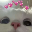 x_catHEARTS