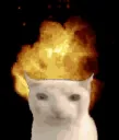 catexplosionboom