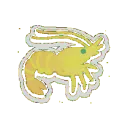 shrimpdance shrimpdance