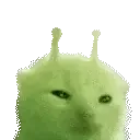 glorping glorping