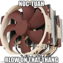 noctuah Discord emoji