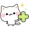 clover_cat