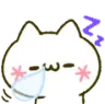 cat_sleep_Zzz