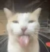 silly silly