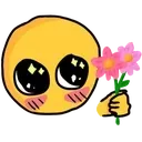 giveflower