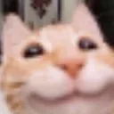 happihappi