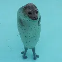 seal