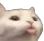 catblep