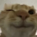 winkwinwinwiwnwk