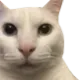 stare stare