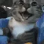 happyCar