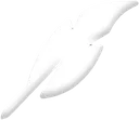 feather