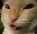 Nyejejeje