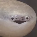 FihsStare