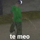 te_meo