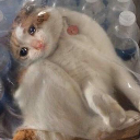oppressed_cat Discord emoji