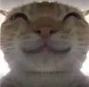 78cat04 78cat04