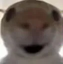 78cat11