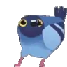 pizn pizn