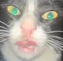 disgust
