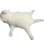 catsplat