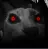 evilcatto