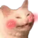 blushycat
