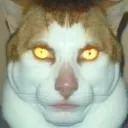 sigmakitty