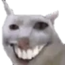 cursedcat
