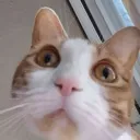 whuh whuh