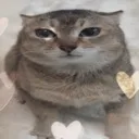 mewmew