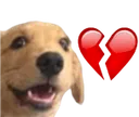 dogheartbroken