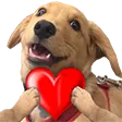 doggivelove