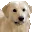 dogaware