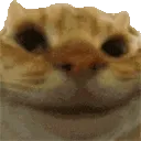 Sisi