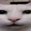 emoji_25