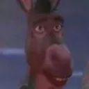 donkey