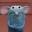 raton