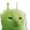 gnarp