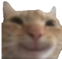 :emoji_11: