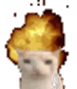 moew