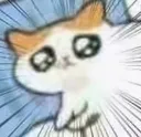 cuter1_catMiserableCry