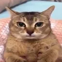 wh